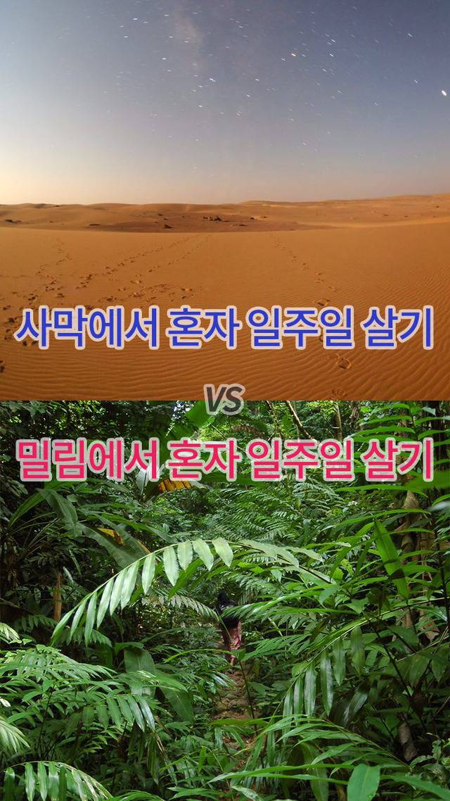 둘 중 하나만 고른다면 당신의 선택은? | 인스티즈