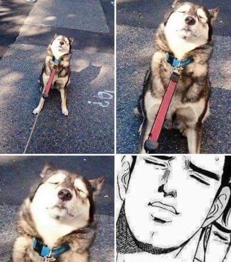 아아... 하지않겠는가... | 인스티즈