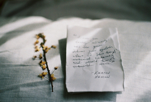  아름 다운 시를 보면 그걸 닮은 삶 하나 낳고 싶었다 | 인스티즈