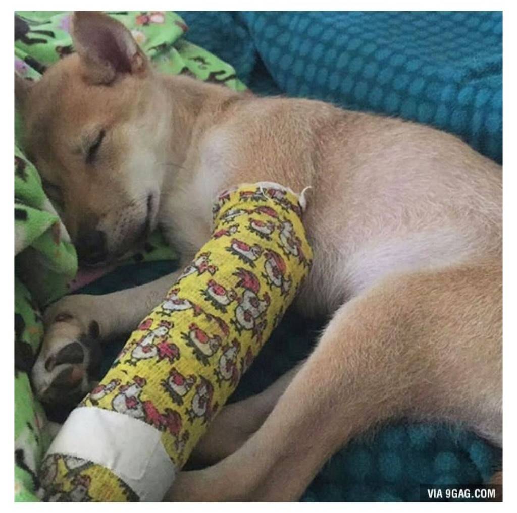 나 아야했쪄 | 인스티즈