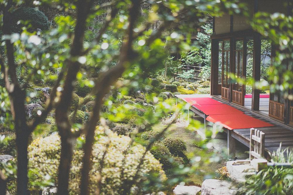 스냅사진 위주의 유치진지한 여행기 - 오사카&교토 (3) | 인스티즈