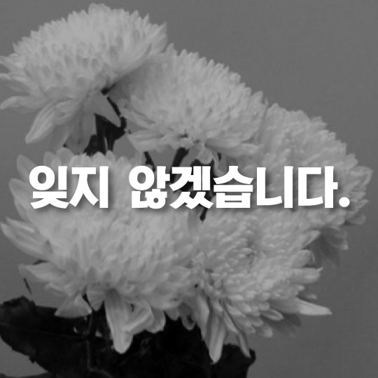 그들을 잊지 않겠습니다 .jpg | 인스티즈