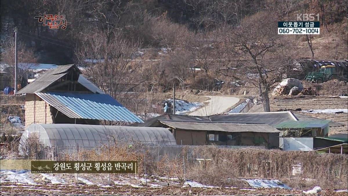 숯불로 해먹는 음식 좋아하시나요?.jpg | 인스티즈