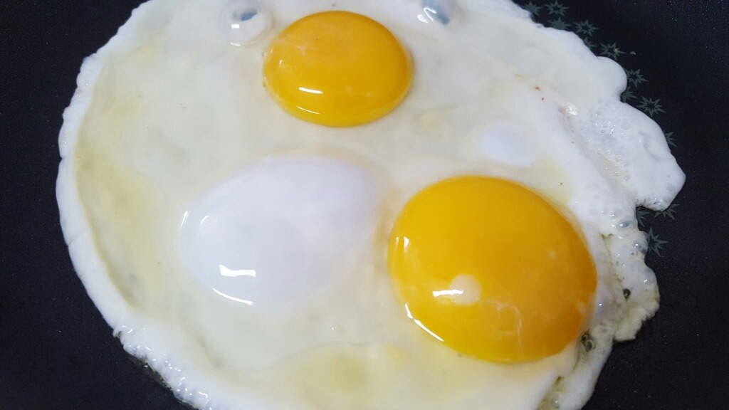 인생 최고의 행복 중 하나 | 인스티즈