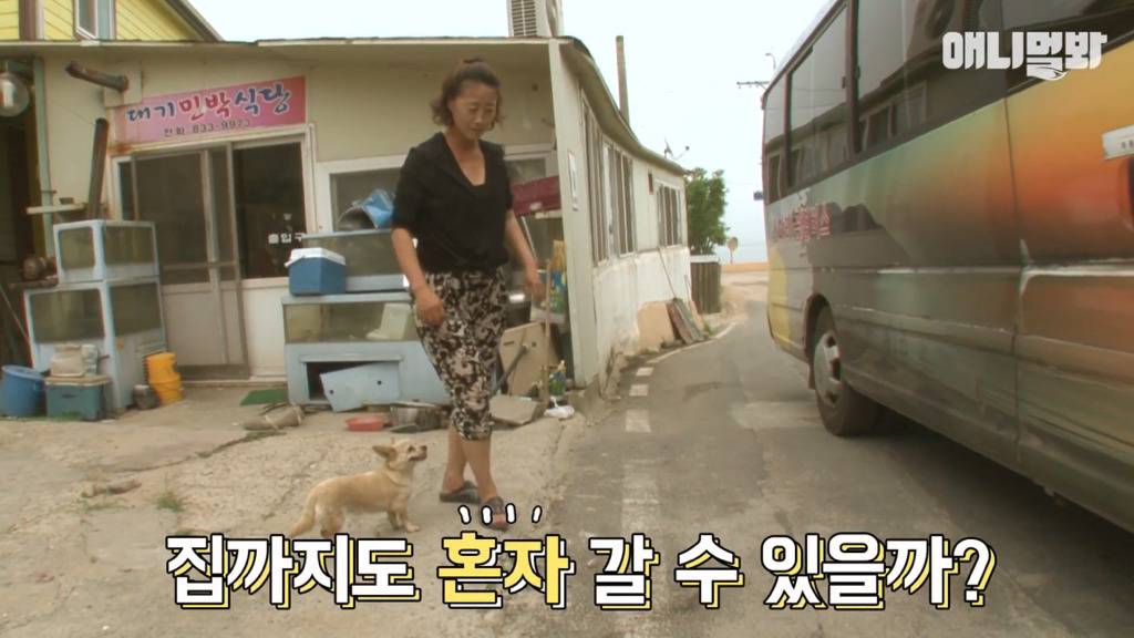 혼자 버스타고 지인 만나러 가는 강아지 상연이.jpg | 인스티즈