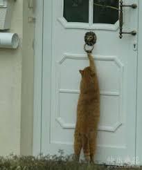 집에서 방 들어갈 때 노크 한다 vs 안한다 | 인스티즈