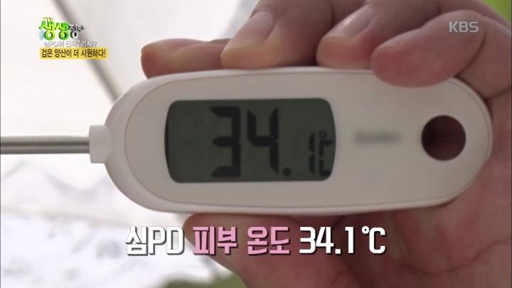 검은 양산이 더 시원하다? | 인스티즈