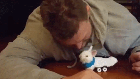 다리를 잃은 토끼에게... | 인스티즈