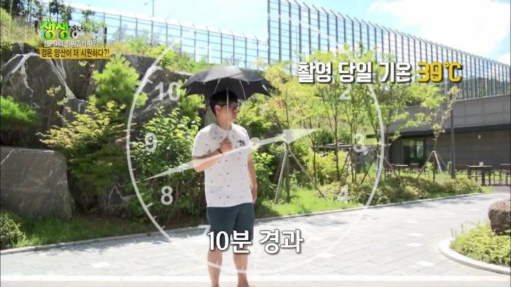 검은 양산이 더 시원하다? | 인스티즈