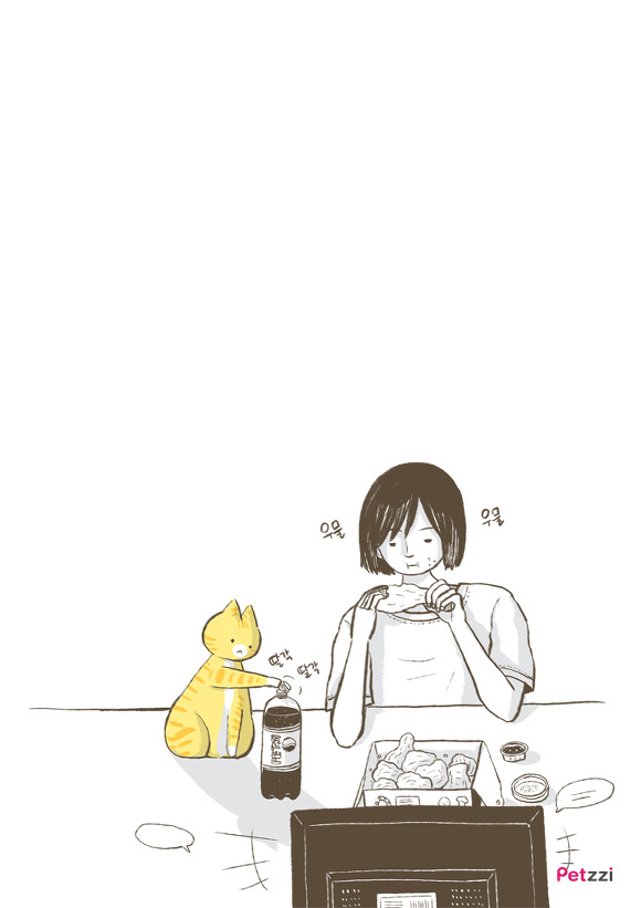 고양이 키우다 보면 느끼는 고양이의 소소한 취향.jpg | 인스티즈