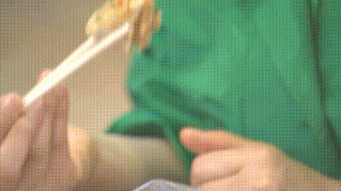 이명박 前 대통령 vs 박근혜 現 대통령 먹방 비교.gif | 인스티즈