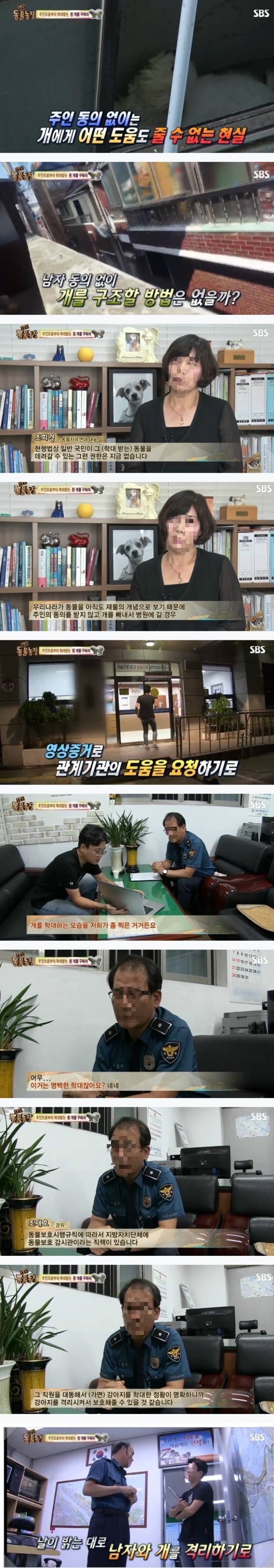 이유없는 강아지 학대 | 인스티즈