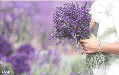 자연사진 보시고 힐링하세요 | 인스티즈