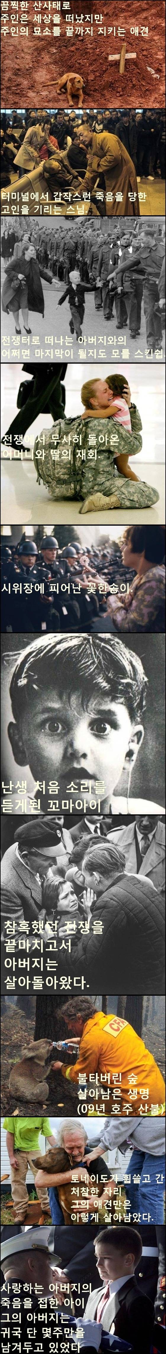 말로는 형언하기 힘든 사진 속 순간의 뭉클한 감정 45선.Jpeg | 인스티즈