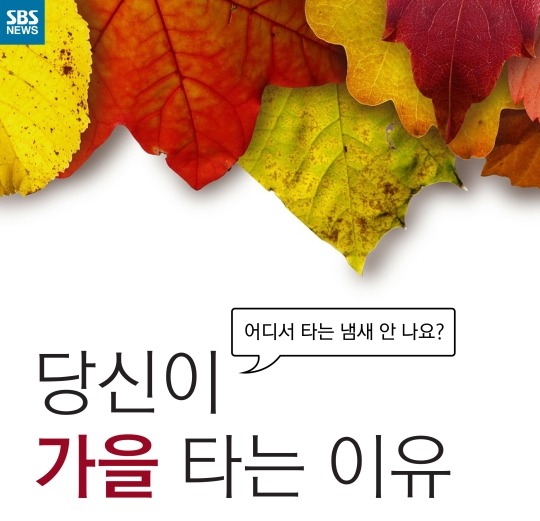 사람이 가을타는 이유 | 인스티즈