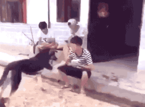 혼란하다 혼란해.gif | 인스티즈