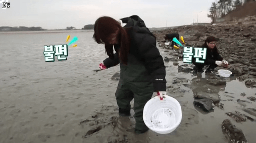 갯벌에 갇힌 청하.gif | 인스티즈