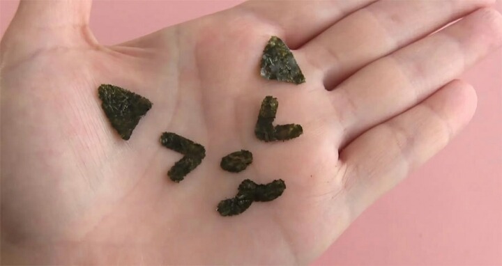 고양이 주먹밥 | 인스티즈