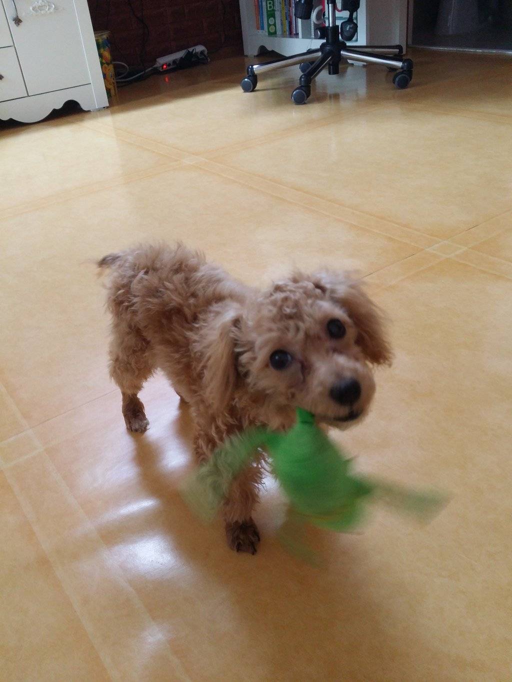 흉폭한 야수에게 먹히는 개굴.. (심약자주의) | 인스티즈