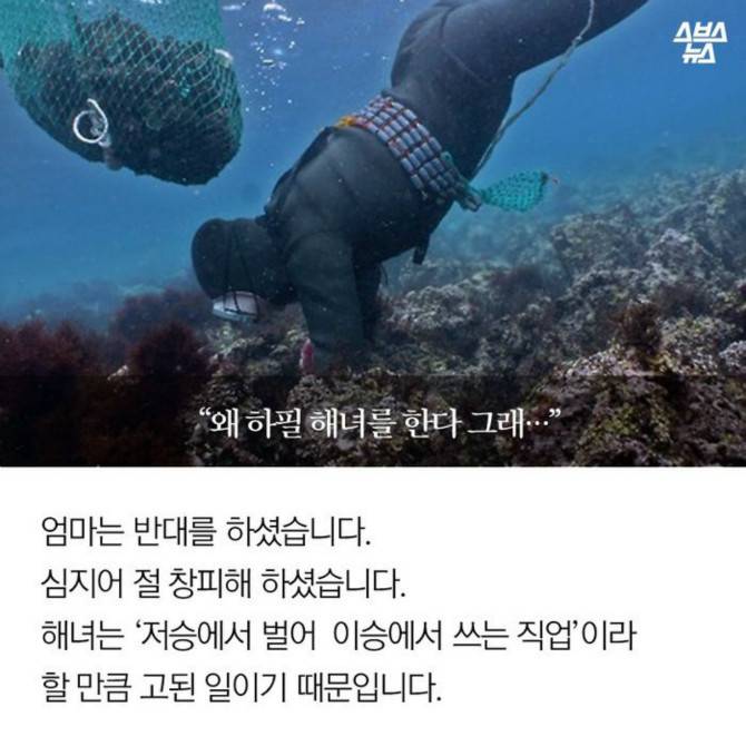 [놀람주의] 대한민국 해녀들의 불편한 진실.jpg | 인스티즈