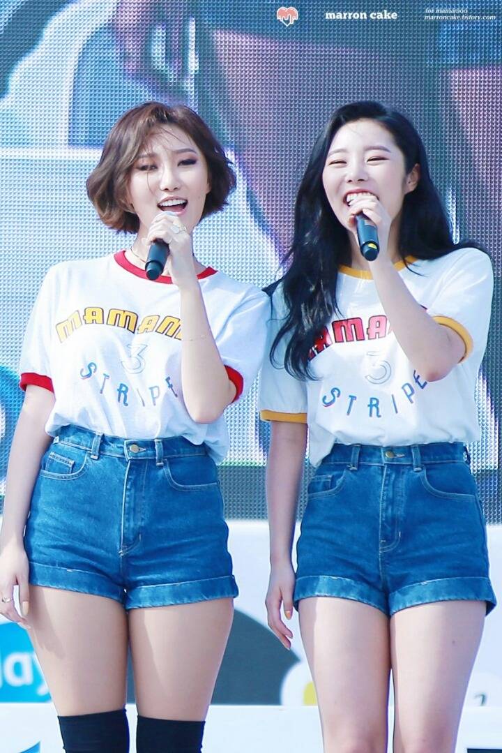 마마무 데뷔 900일 (16.12.04) | 인스티즈