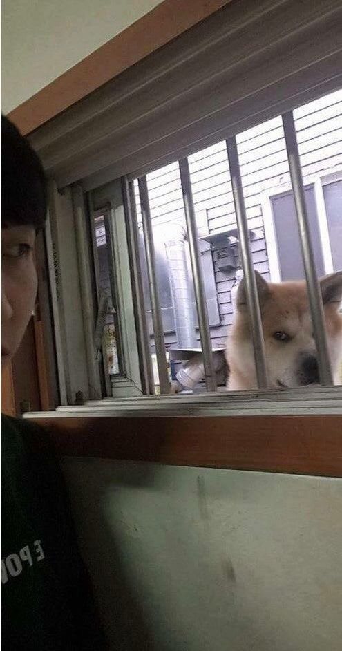 반지하사는데 어떤가 자꾸 쳐다보네요; | 인스티즈