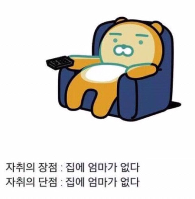 자취의 장단점 | 인스티즈