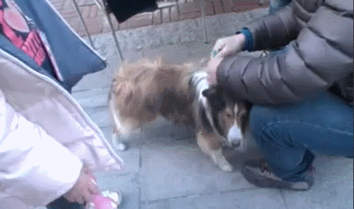 아프리카 tv의 순기능 | 인스티즈