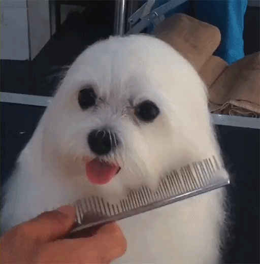 상큼 발랄한 스타일 어때요? | 인스티즈