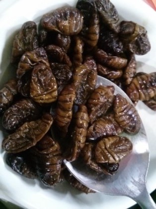 호불호 갈리는 음식들 | 인스티즈