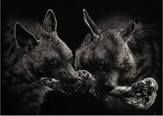 겁나게 노력해도 천재를 이기기 힘든 이유 | 인스티즈