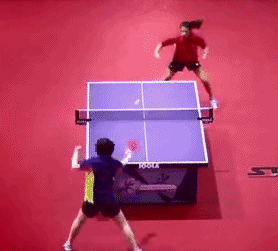 탁구 고수.gif | 인스티즈