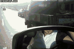 낙타의 스피드 ㄷㄷㄷ.gif | 인스티즈