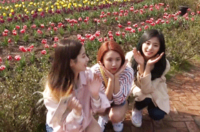 트와이스 급식단 GIF | 인스티즈