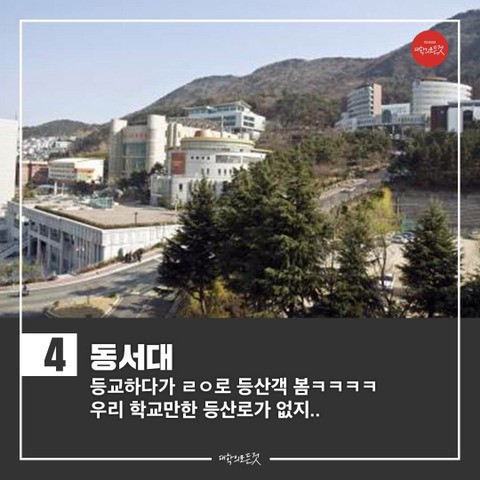 지옥의 오르막을 자랑하는 대학교들 | 인스티즈