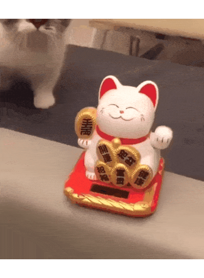 인형 따라하냥.GIF | 인스티즈