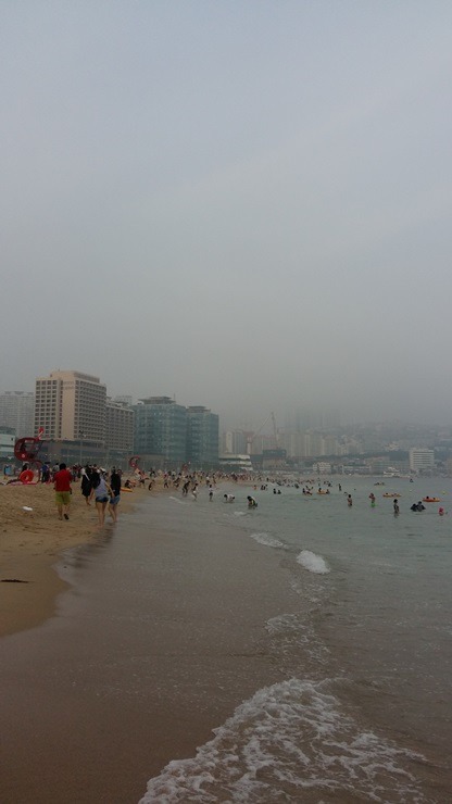 아재의 부산여행기 take4 [해운대달맞이고개송정해수욕장] 난 안경 쓴 샌님이니깐!!!! | 인스티즈