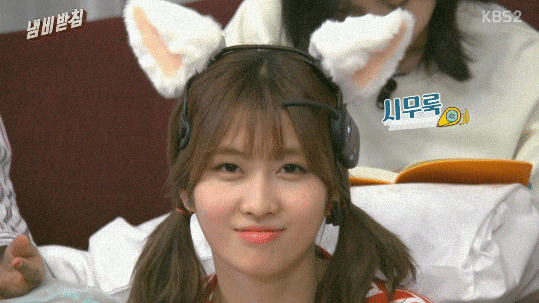 고양이의 마음이 되어버린 트와이스.gif | 인스티즈