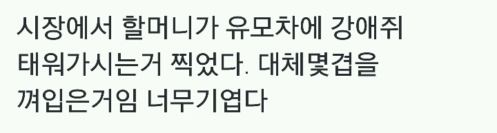 시장에서 할머니가 유모차에 댕댕이 태워가는 모습.jpg | 인스티즈