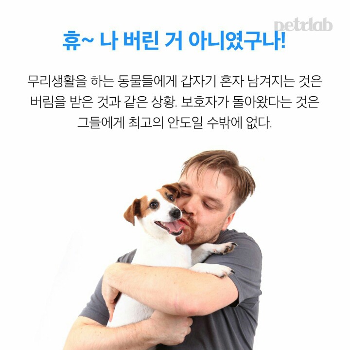  강아지는 왜 이렇게 나를 반길까?.jpgif | 인스티즈