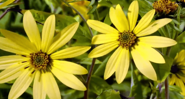 봄이 오면 볼 수 있는 모습 | 인스티즈