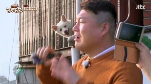 집이 개판인 상황에서 한끼줍쇼가 우리집 초인종을 눌렀는데 게스트가 최애라면? | 인스티즈