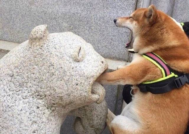 개엄살 | 인스티즈