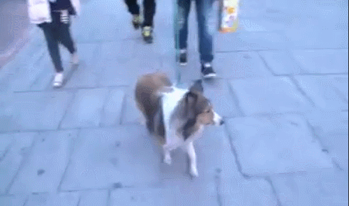 아프리카 tv의 순기능 | 인스티즈