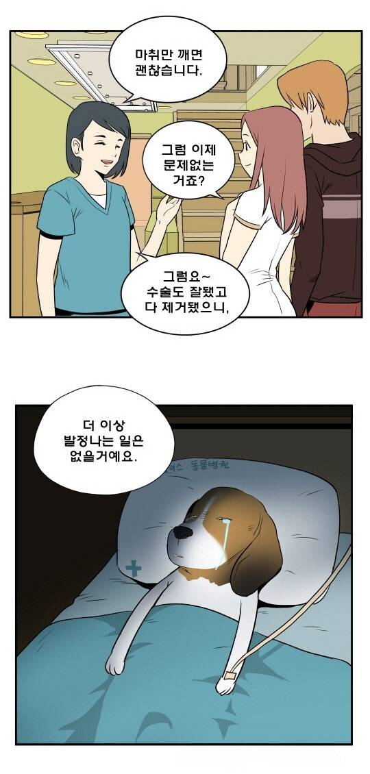 대발이의 꿈 | 인스티즈