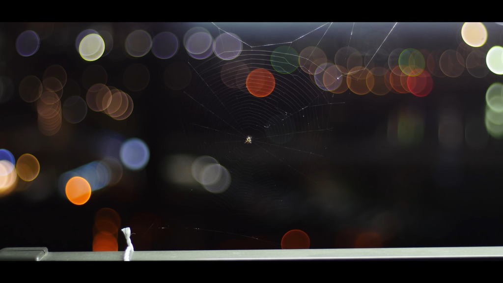 사람들의 하루.jpg | 인스티즈