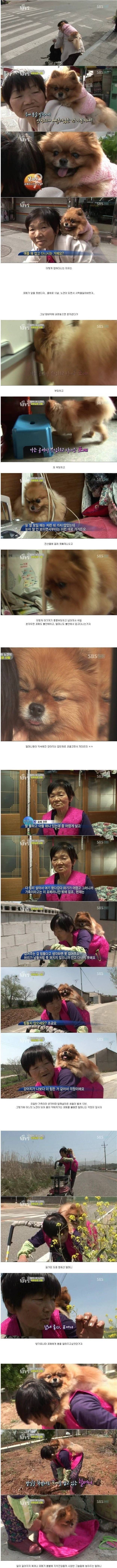 포메와 할머니......jpg | 인스티즈