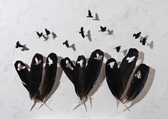 새들의 기털을 이용한 작품 | 인스티즈