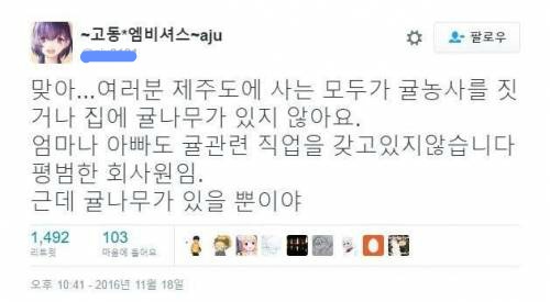 제주도니까 너네집에도 감귤나무키워? 에대한반박 | 인스티즈