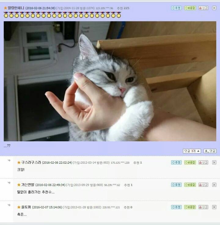 고양이앞에서 손가락 고리를 만들면.jpg | 인스티즈